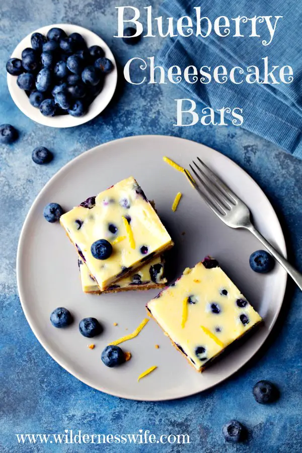 2 Blueberry Cheecake Bars, made from our No-Bake recipe, on a grey plate with a fork