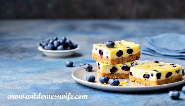 Stack of dessert bars on a grey plate sprinkled with lemon zest