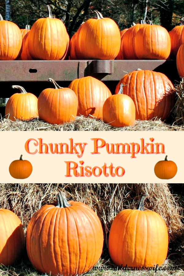A beautiful pumpkin stuffed with Creamy Slow Cooker Pupmkin Risotto dressing up the Thanksgiving table as a unique centerpiece.