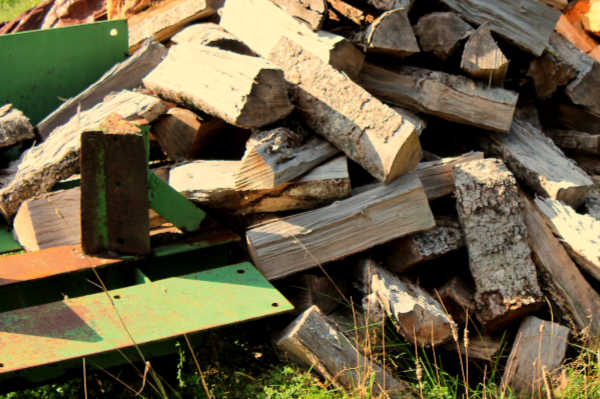 Pile of dry firewood waiting to be stacked.