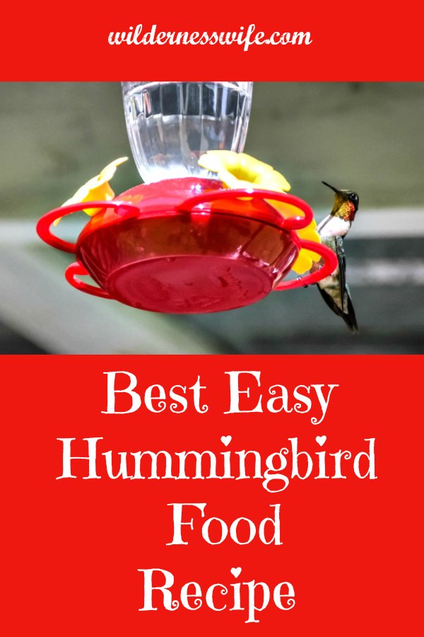 Ruby-throated hummingbird fluttering near a hummingbird feeder drinking the best easy hummingbird food recipe