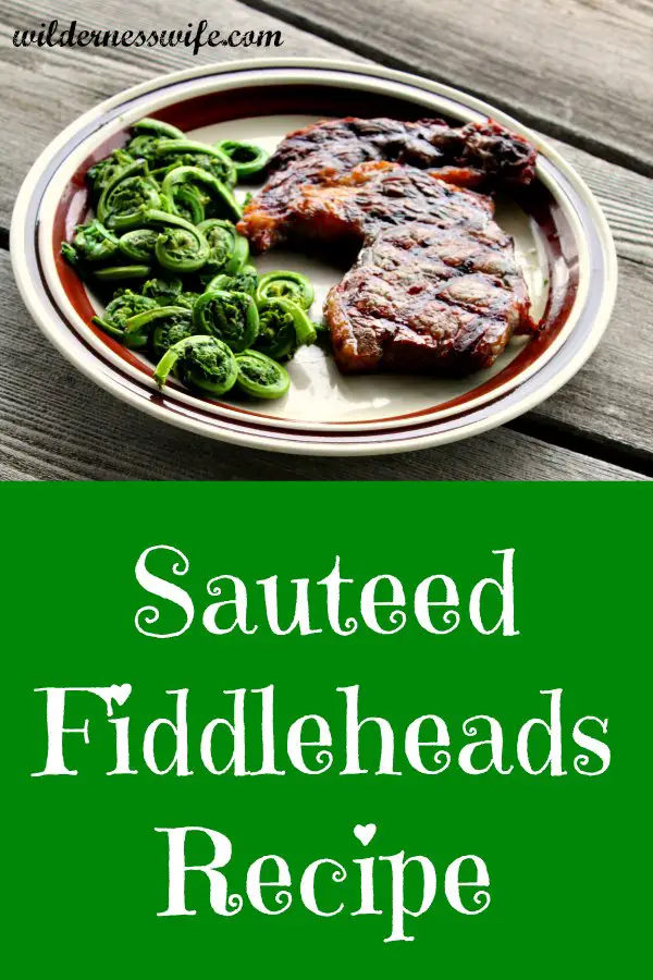 Plate loaded with sauteed fiddleheads and a ribeye steak