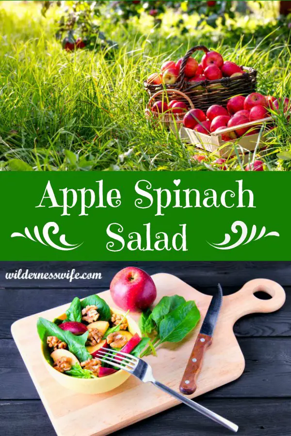 Composite photo with the title Apple Spinach Salad.  Top portion of photo shows a basket of apples in the grass in an apple orchard.  Bottom photo shows cutting board, knife, fork, apple, spinach leaves and bowl of salad.