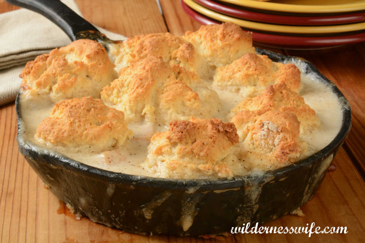 Chicken pot pie with homemade biscuit crust baked in a black cast iron skillet.