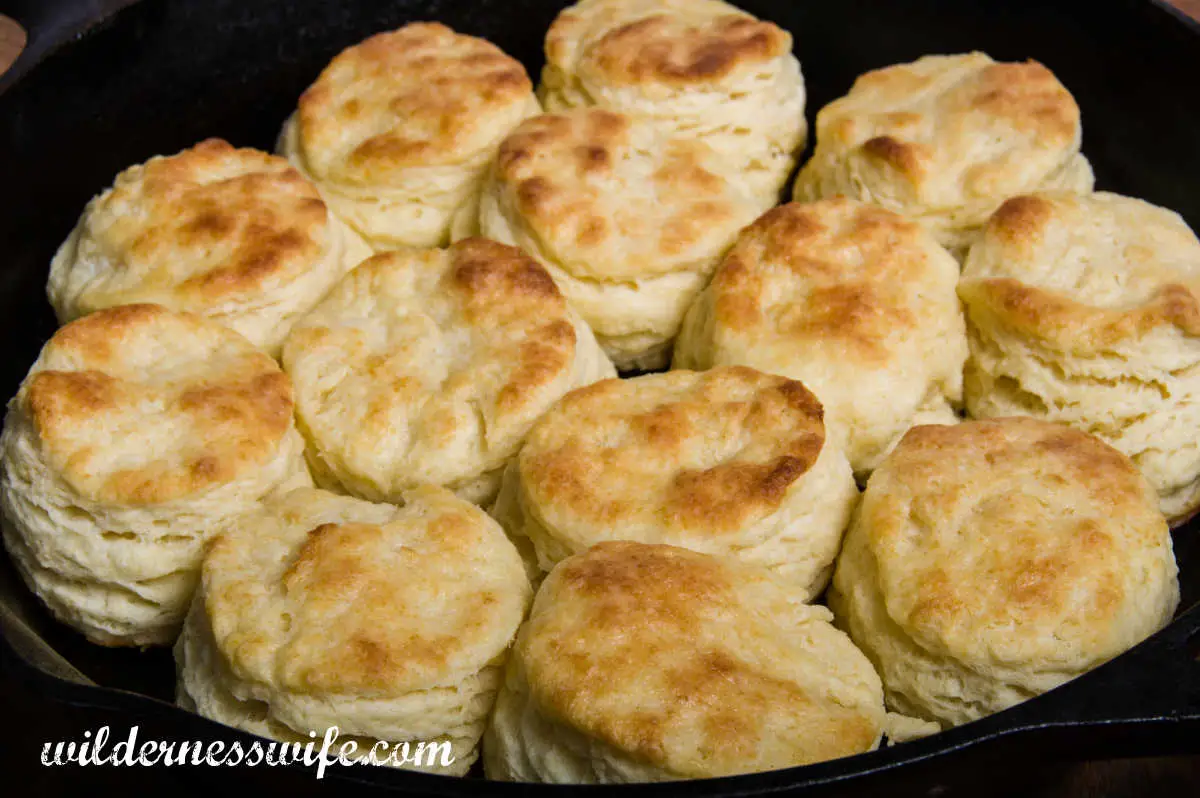 Baked homemade biscuit in cast iron pan thry had been baked in.