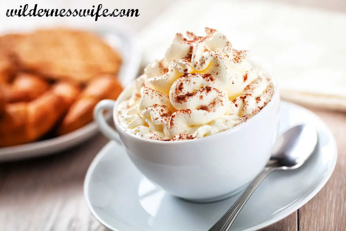 Cup of hot cocoa topped with our homemade whipped cream recipe