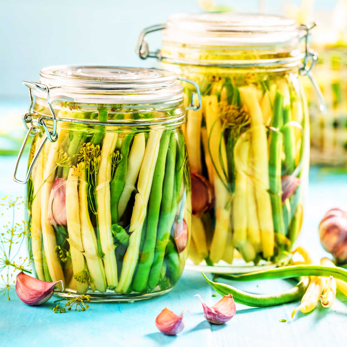 Green beans and wax beans pickled as dilly beans in glass canning jars