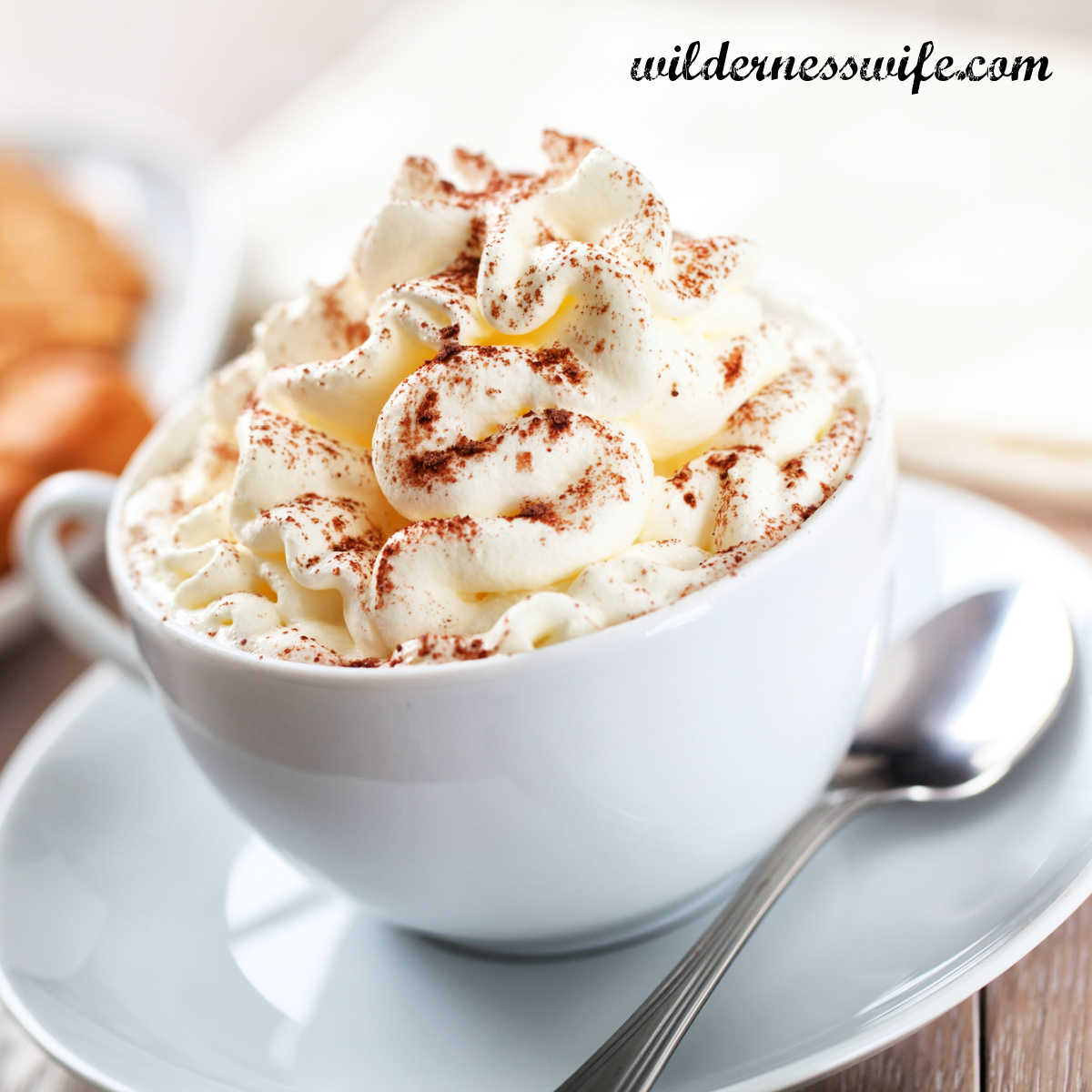 close-up photo of cup of hot chocolate topped with whipped cream and sprinkled cocoa powder