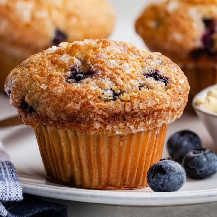 Jordan Marsh Blueberry Muffin Recipe
