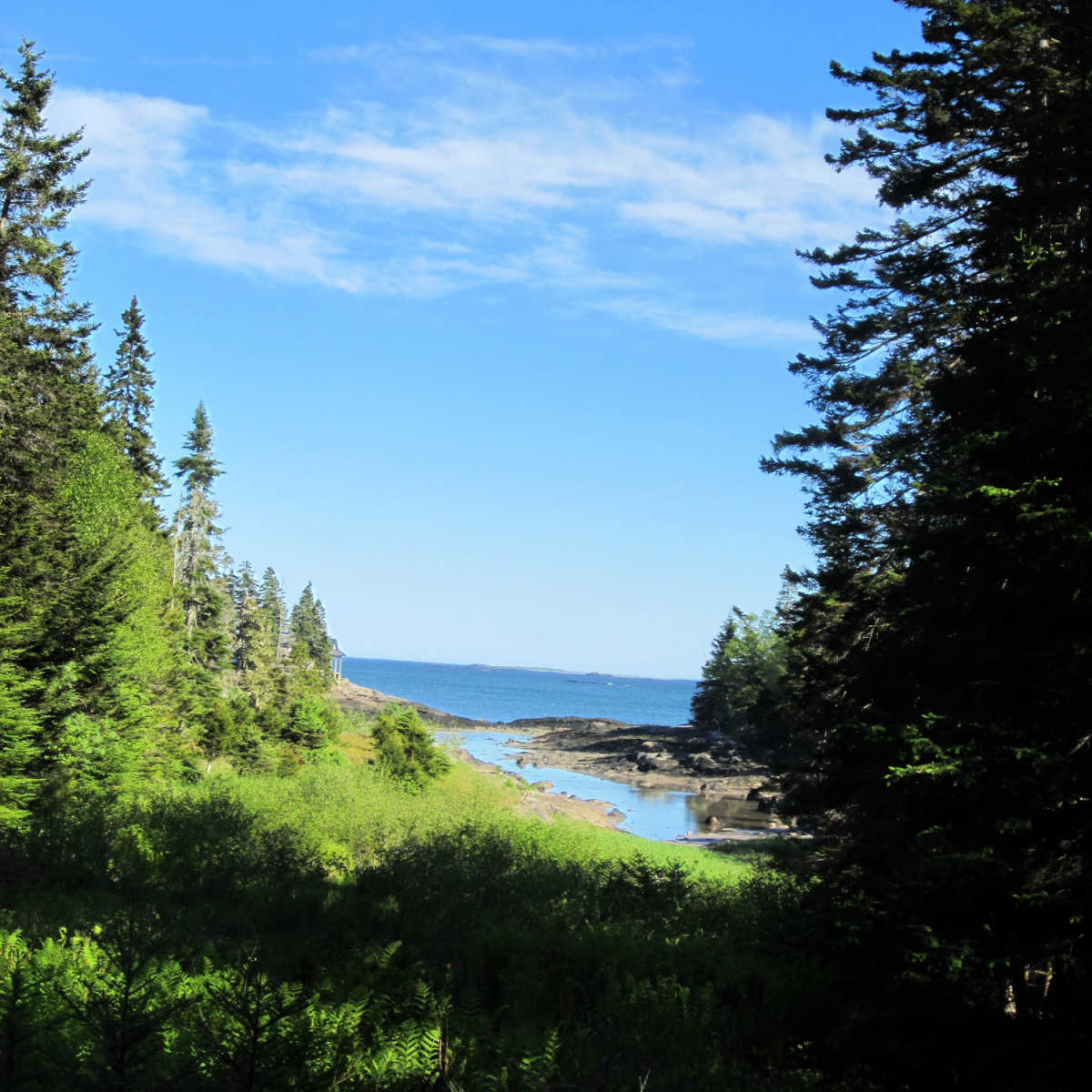 View of Atlantic Ocean from lawn of oceanside cottage near Machias, Maine