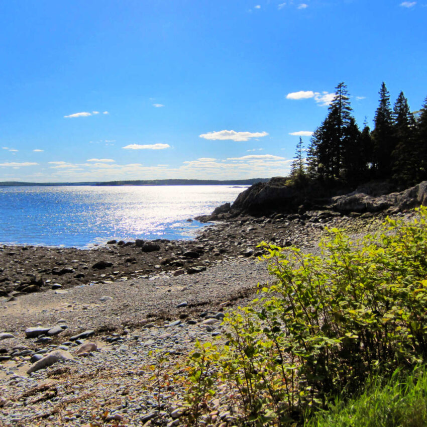 Rocky beach at low tide near Machias, Maine