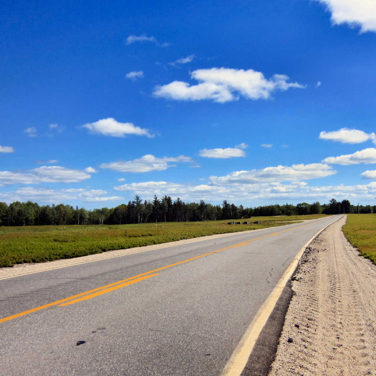 paved road through Washington County, Maine blueberry barren with cluster of bee hives in the distance