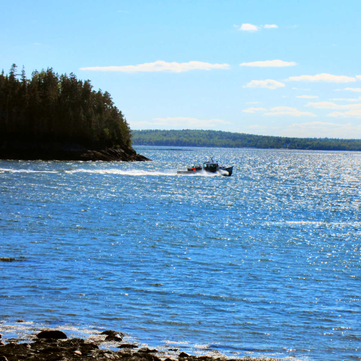 Lobster boat off rocky coast near Machias, Maine