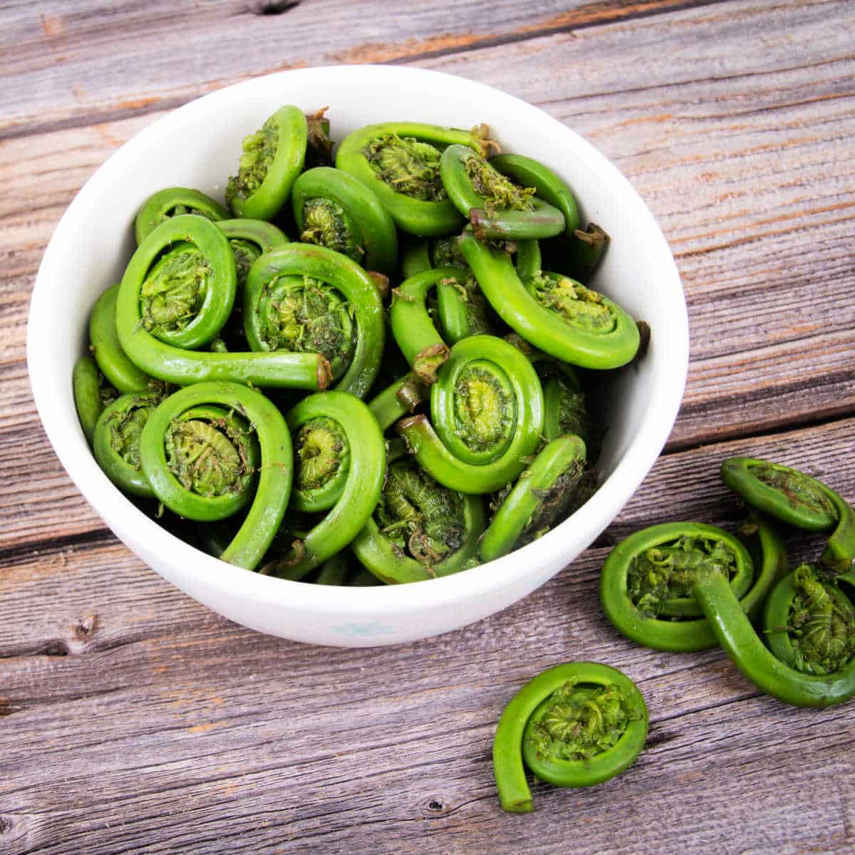 Ostrich fern fiddleheads in a white bowl on a wooden tabletop