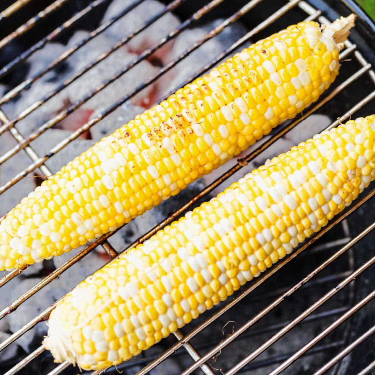 2 ears of husked sweet corn on a charcoal grill
