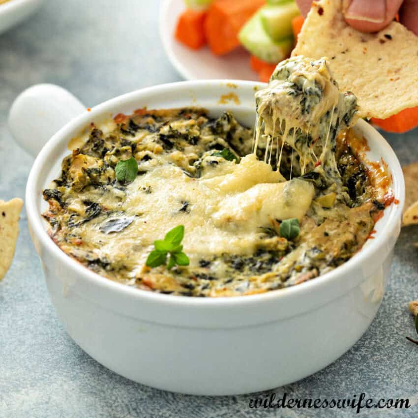 Fiddlehead dip fresh from the oven. the dip is being scooped up with a cracker and has a beautiful golden brown crusted top.